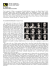 30 scheda boyhood