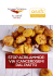 DEF Brochure Acrilammide A5-WEB(1)