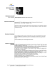 Curriculum Vitae Europass