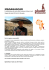 madagascar - Planet Viaggi