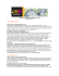 ​NEWSLETTER LIBERA INTERNATIONAL N.53 Settembre 2015