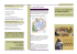 brochure naturopatia - Istituto Giordano Bruno