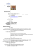 Curriculum Vitae Europass
