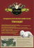 nuovo layout locandina carta.indd