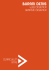 Curriculum - Denis Burani