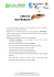 CREDITO NO-PROBLEM - Associazione Imprese NordEst