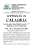 settimana in