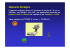 Test impronta ecologica