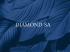 Presentazione Diamond SA