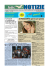 n. 233, 16 luglio 2010