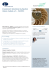 visualizza la scheda info