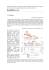 Repubblica Ceca - Istituto Italiano di Valutazione