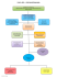 Organigramma