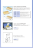 Kit per trazione cervicale Cuscino anatomico THE PILLOW Cuscino