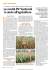 Leggete l`articolo integrale in formato PDF