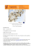 scambio internazionale Bees Inspired: A Hive for Female