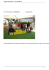 Gruppo Jack Russell 1° expo San Marino
