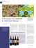 packaging smart e sostenibile