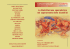 Layout 2 - Aristea