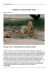 Sudafrica: la potenza della natura