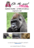 UGANDA E RUANDA – LA TERRA DEI GORILLA 14 giorni/11 notti