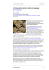 L`incessante declino della homepage