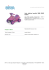 Auto elettrica bambini MINI QUAD FUNKY