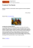 Proposte dai Tour Operator
