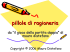 Pillole di Ragioneria