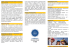 Dpliant NEBOSH - cpgo