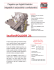 leafletFOLDER 21