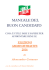 "Il Manuale del Candidato" in formato PDF.