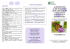 Scarica file "brouchure_convegno_alzheimer_2016"