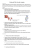 Estrazione del DNA dalle cellule di pomodoro