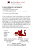 IL DRAGO ROSSO E L`ARCOBALENO