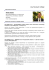 Curriculum Vitae