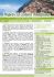 Pdf programma - Pettinà Viaggi