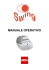 Rch Swing - FalcoPos