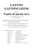 gattini gattoni leoni