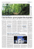 Il Giornale della Liguria_”Ceneri nel bosco e pecore
