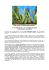 Aloe vera: la `pianta del miracolo`