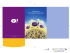 LE NOVITÀ DI YAHOO! SEARCH MARKETING