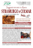 programma pdf
