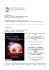Scarica il presS/Tmagazine in formato pdf