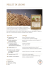 PELLET DI LEGNO