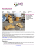 Scarica come PDF - Ricette Dal Mondo