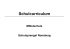 Curriculum Mittelschule