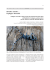 scarica pdf 784 KB - MUSE