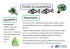 Tranci di salmerino - Accademia d`impresa