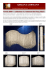 pdf - adriana lohmann